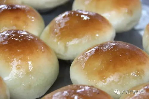 廣雅食堂榮獲食品安全A級認定并開展豐富歌舞活動，打造安全與活力校園環境